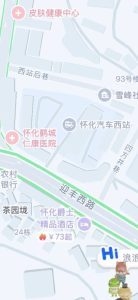 汽车站 西站后街以及丽城宾馆附近也有零散的-找JiPo