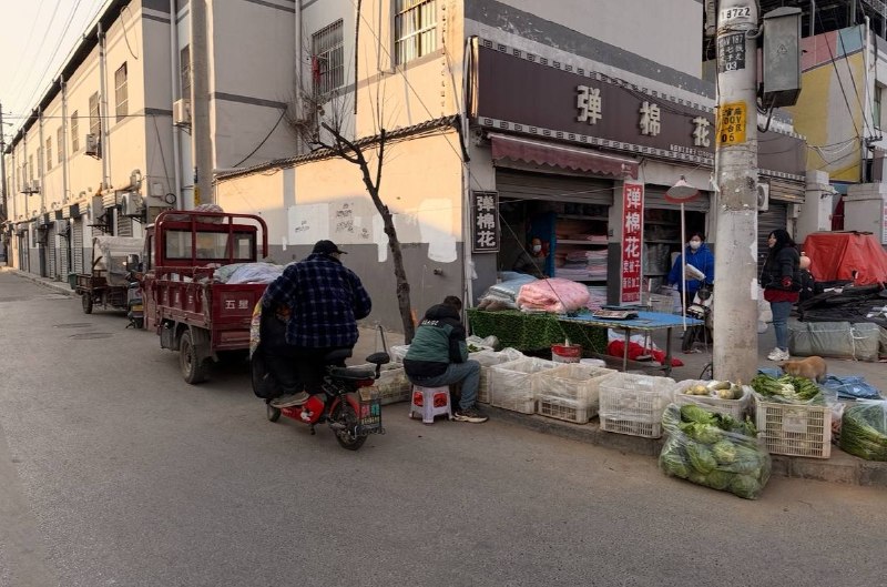 图片展示