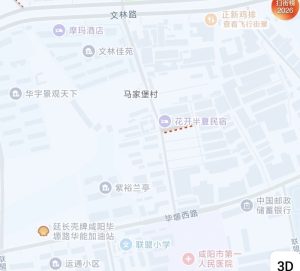 #站街
 
#咸阳
 
马家堡村，咸阳第一人民医院正门对面小巷子里上坡上去，一般晚上八点左右开始有一些站的，典型的嫩妹站头老的站后的模式，年轻的在坡上，老一点在坡下，价格150，嫩妹一般不带吹，或者吹要+50-找JiPo