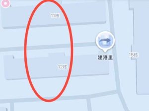 #天津
 
#站街
塘沽天气不错,顺便去建港里转了一圈。这一片点位不算少,价格基本在100到200之间,年轻一点的通常要200。-找JiPo