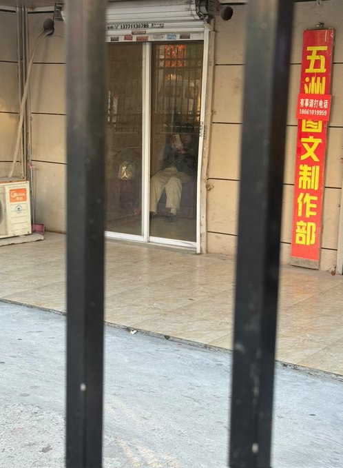 图片展示