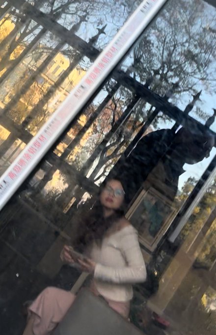 图片展示
