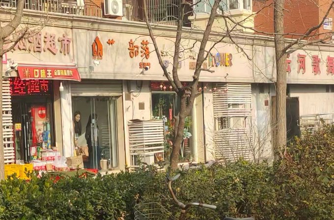 图片展示