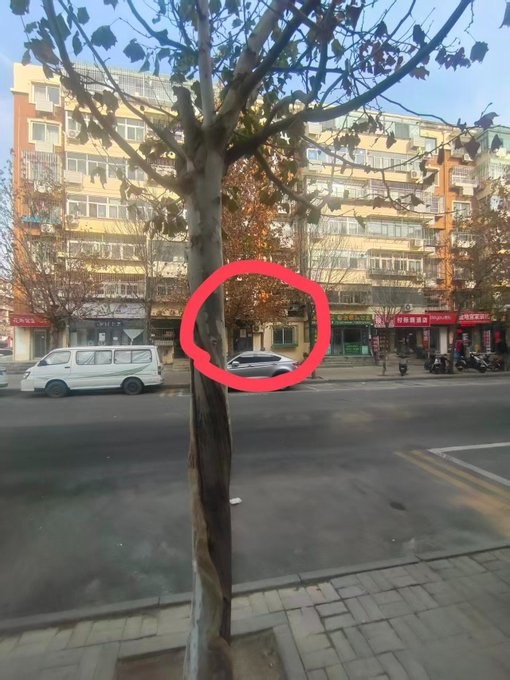图片展示