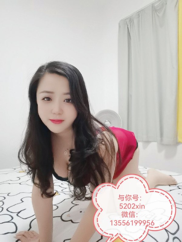 图片展示