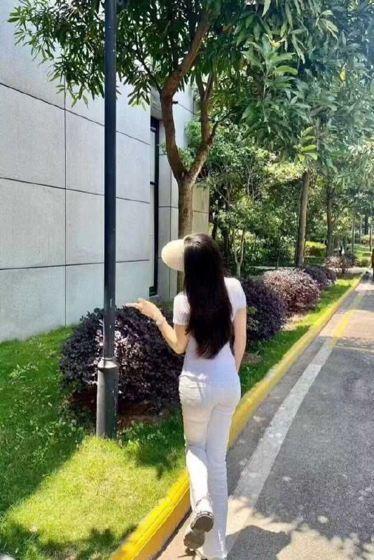 图片展示