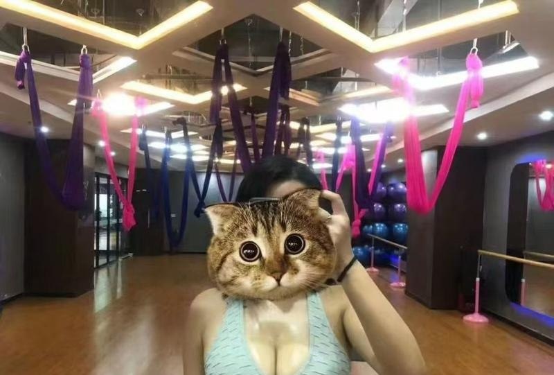 图片展示