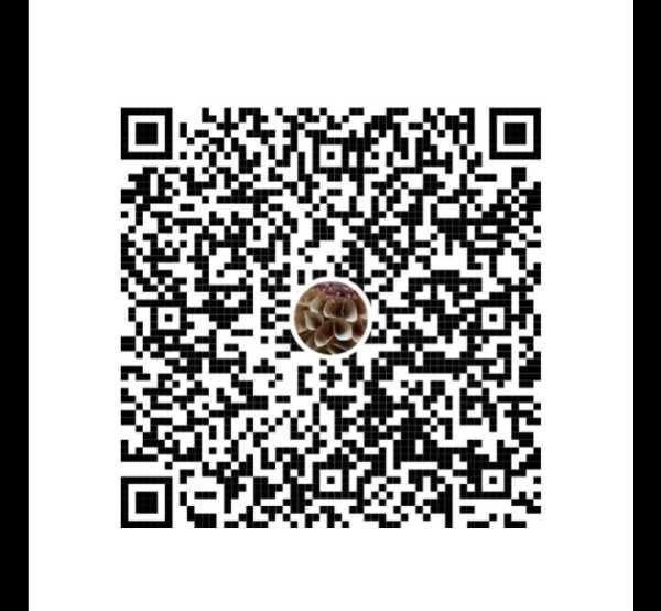 图片展示