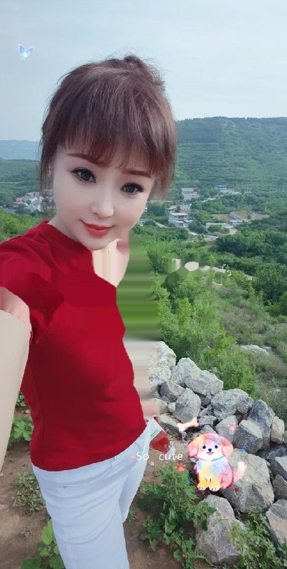 图片展示