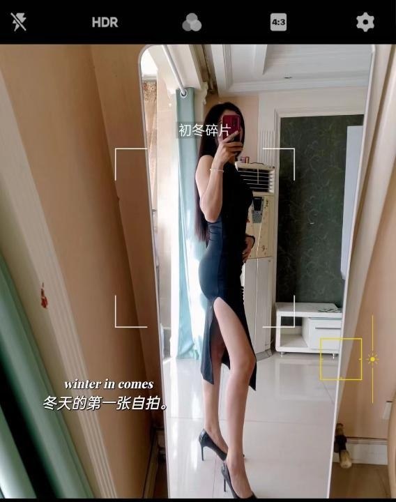 图片展示