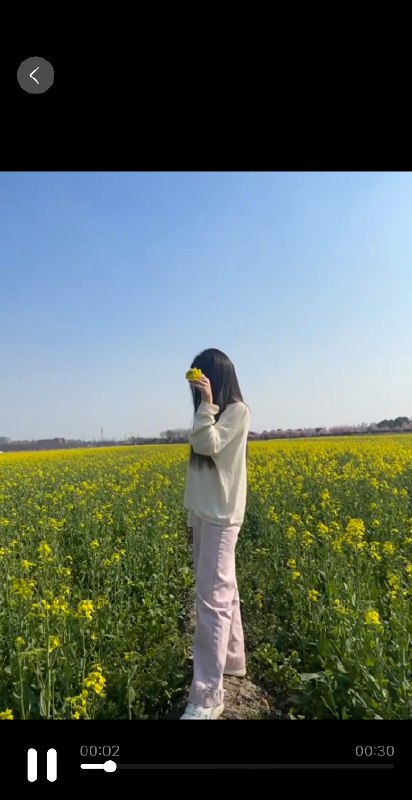 #上海 #松江 #性价比 松江体育中心性价比小爱 400-找JiPo
