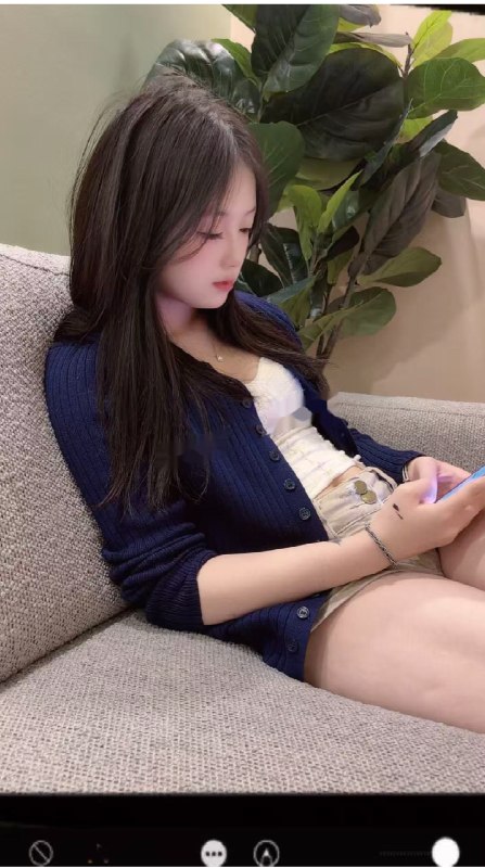 图片展示