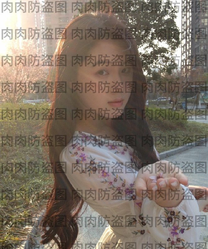 图片展示