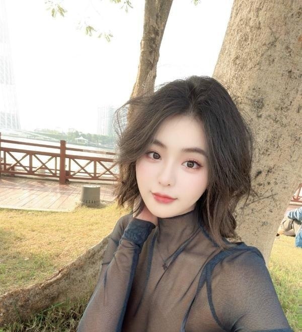 图片展示