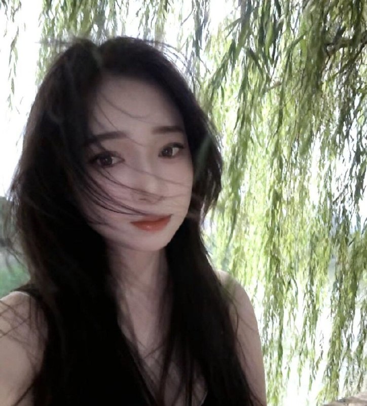 图片展示