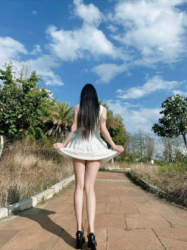 图片展示