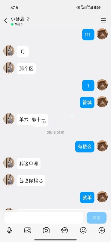 图片展示