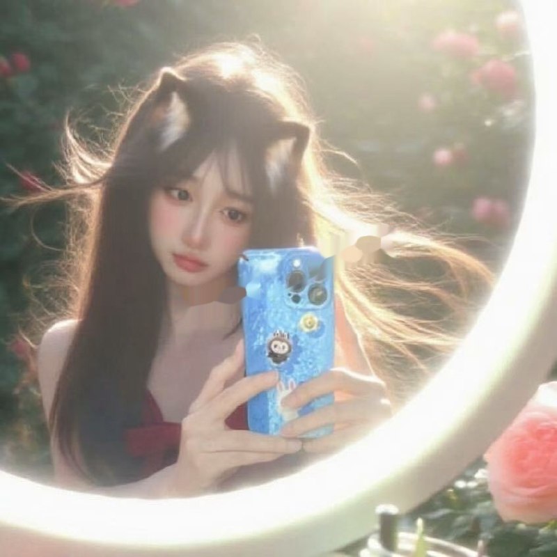 图片展示