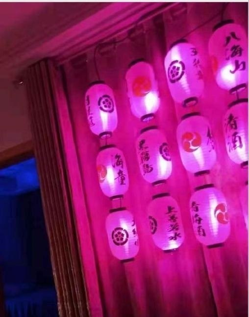 图片展示