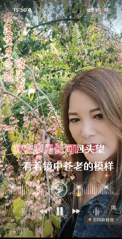 图片展示