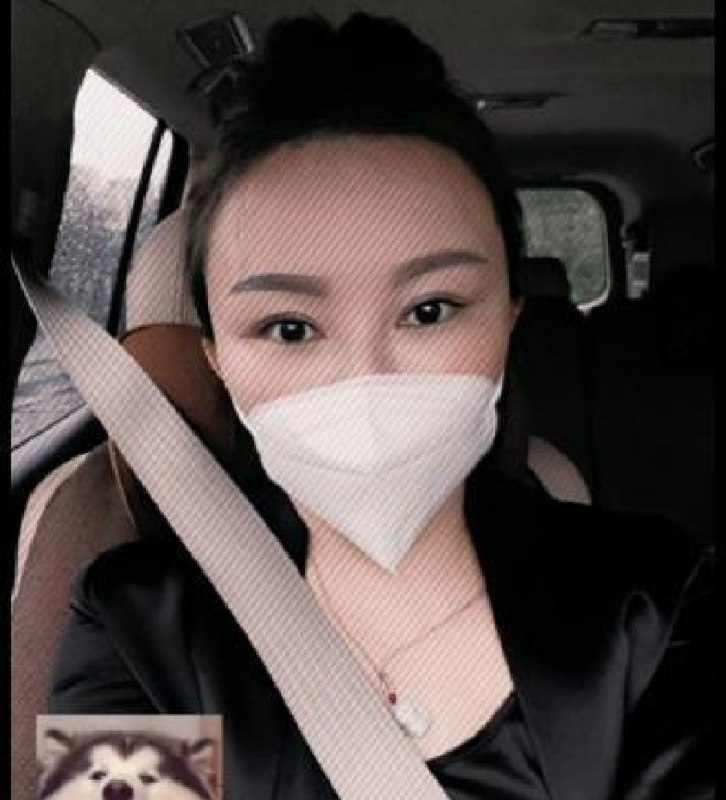 图片展示