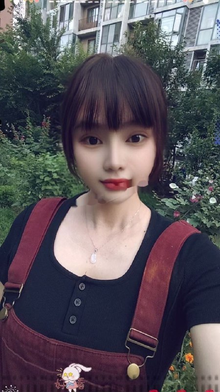图片展示